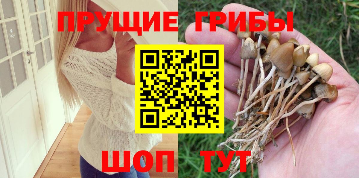 Галлюциногенные грибы GOLDEN TEACHER  что такое наркотик  Чебаркуль  Вход с VPN 