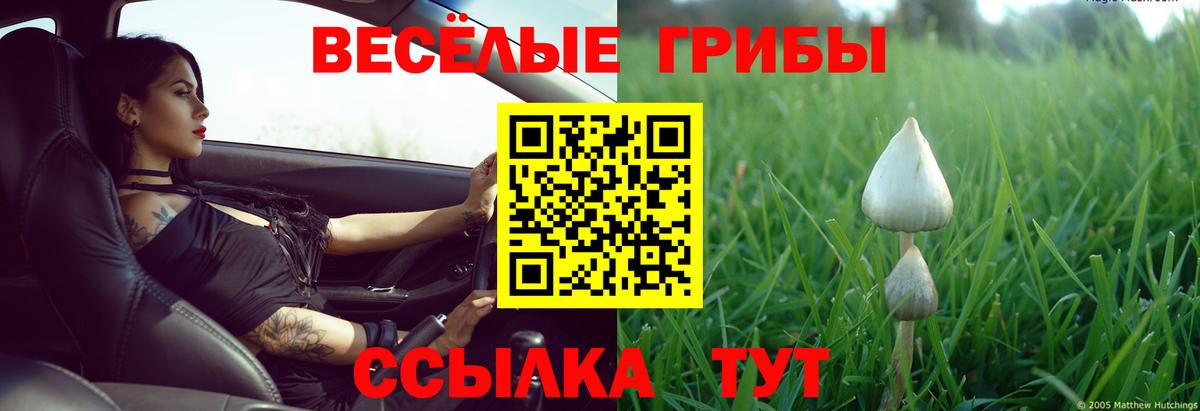 Псилоцибиновые грибы мицелий Чебаркуль